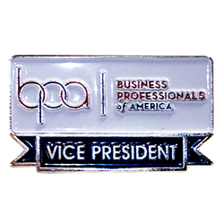 Officer - Vice President Pin